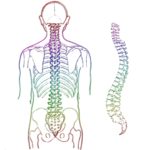 Dolor de espalda: principal motivo de consulta: dolor lumbar heelespana 150x150 - HeelEspaña