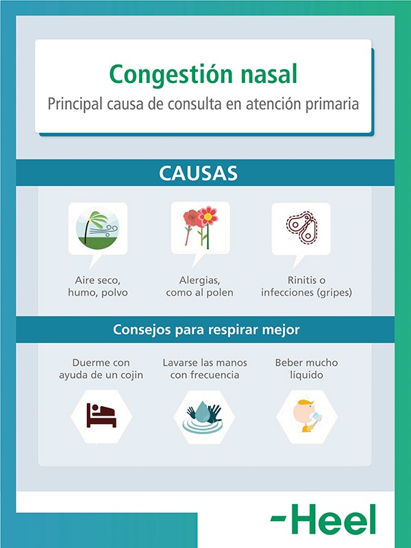 Congestión nasal: síntoma común de resfriados y gripes: congestion nasal heelespana - HeelEspaña