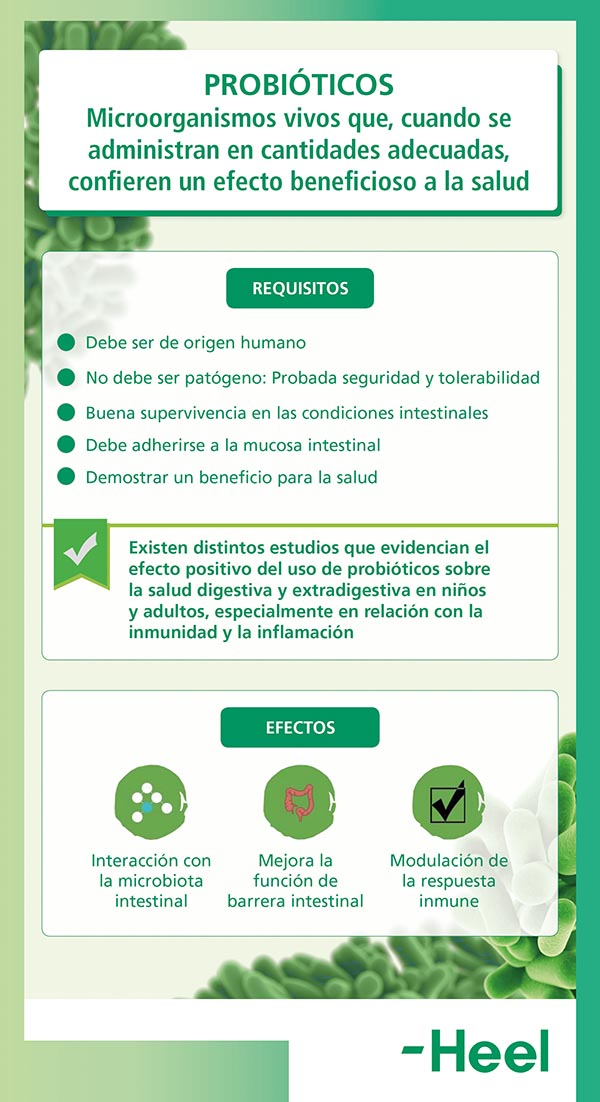 Probiótico: aliado en la salud digestiva, inmunidad e inflamación: probiotico aliado heelprobiotics heelespana - HeelEspaña