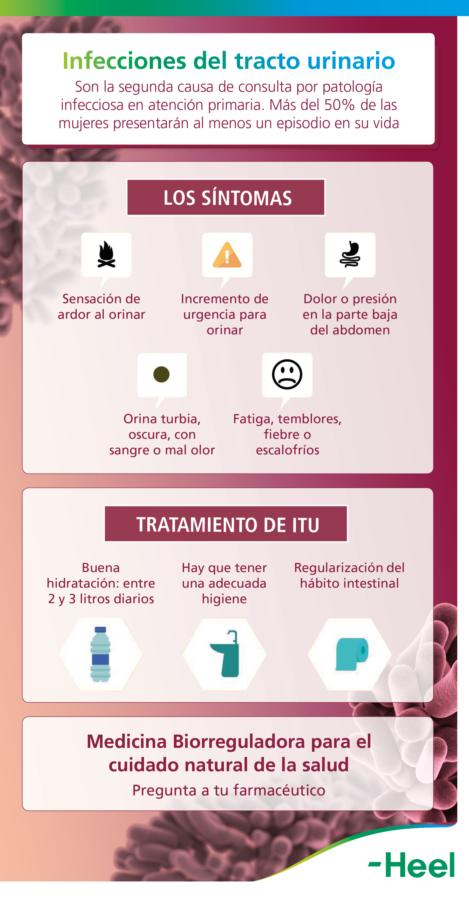 Crítico Globo agrio Cistitis: infección del tracto urinario más frecuente en la mujer