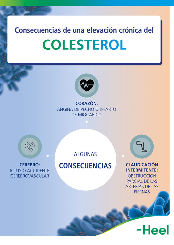 Colesterol elevado: patología frecuente que hay que controlar: infografia consecuencias colesterol 2 728x1024 - HeelEspaña