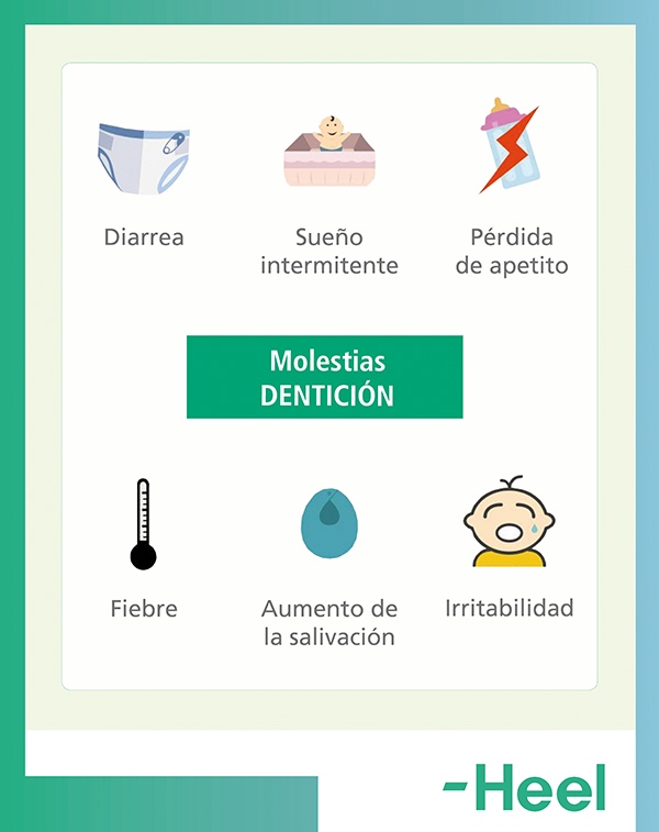 Las molestias en el proceso de la dentición: molestias denticion heelespana - HeelEspaña