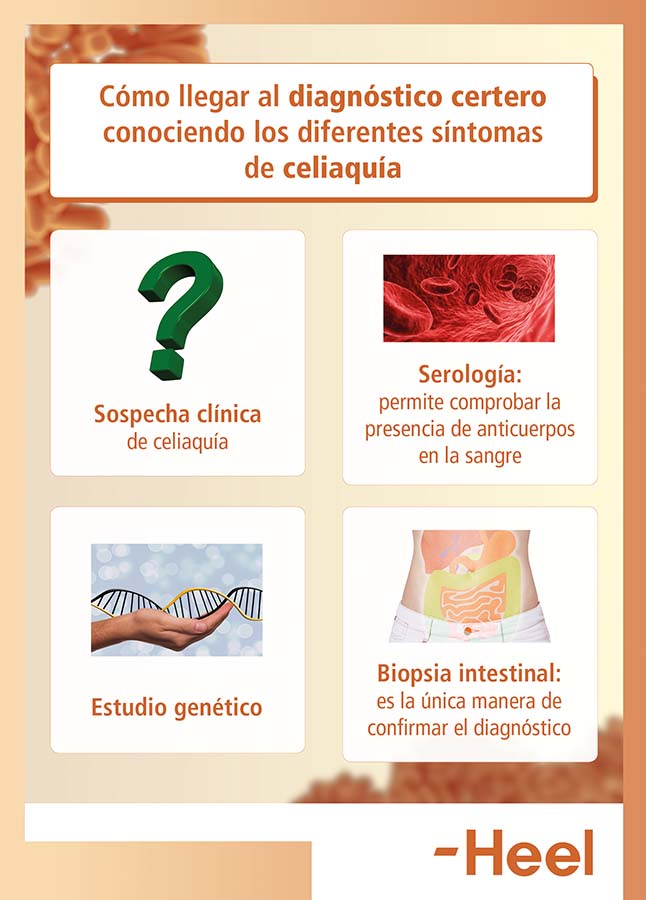 Cómo saber si eres celíaco y pasos a seguir: como saber si eres celiaco heelprobiotics heelespana - HeelEspaña