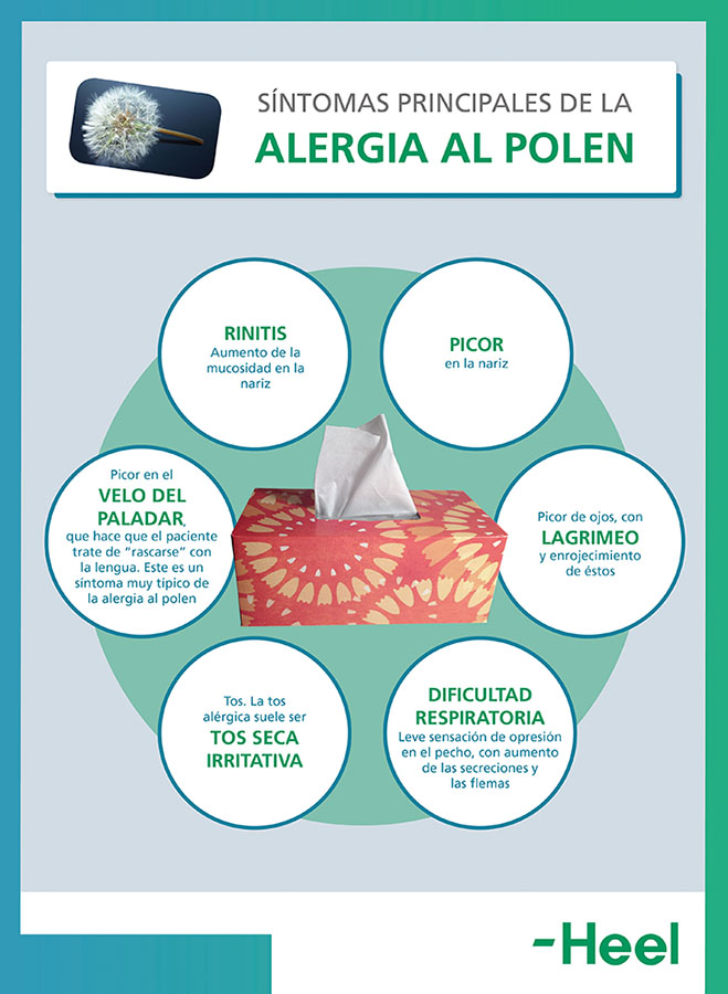 Tos seca y otros síntomas de alergia: tos seca alergia polen heelespana - HeelEspaña