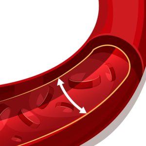 Presión arterial: no te olvides de controlarla - HeelEspaña