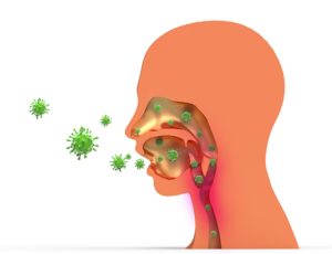 Cómo aliviar la congestión nasal: virus congestion nasal heelespana 300x230 - HeelEspaña
