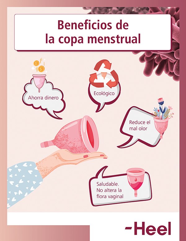 ¿Qué beneficios tiene la copa menstrual? - HeelEspaña