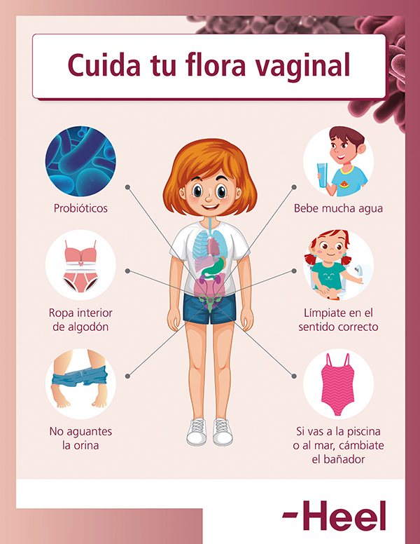 Pautas para mantener una flora vaginal sana: cuida flora vaginal heelespana - HeelEspaña