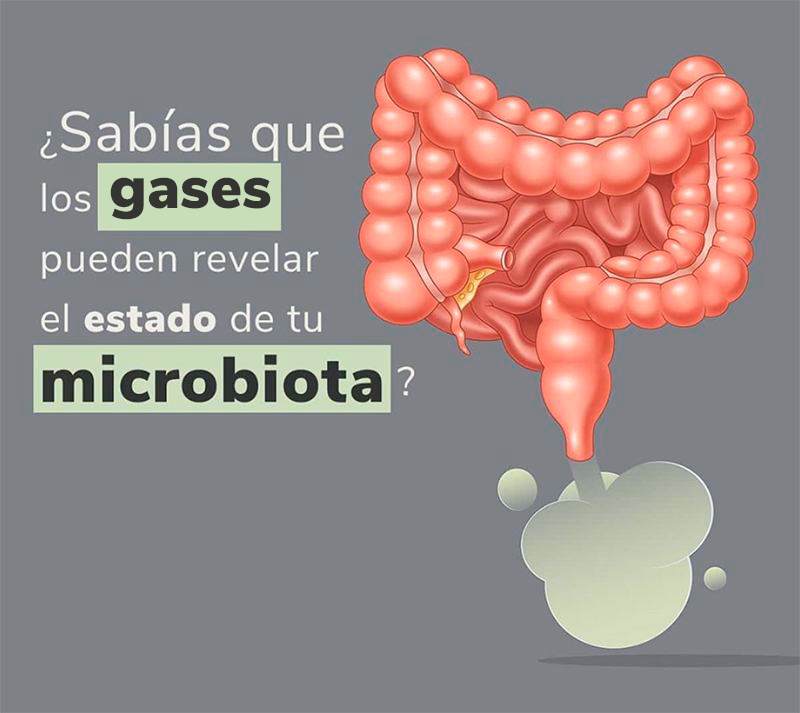 los gases pueden revelar el estado de tu microbiota