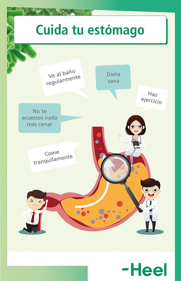 Microbiota sana | Trucos para que tu estómago funcione bien: microbiota sana heelprobiotics heelespana - HeelEspaña