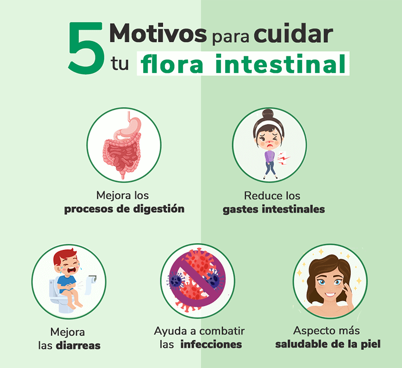 La importancia de la flora intestinal: motivos cuidar flora intestinal heelespana - HeelEspaña