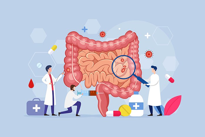 La microbiota intestinal influye en tus emociones: cambios microbiota intestinal - HeelEspaña