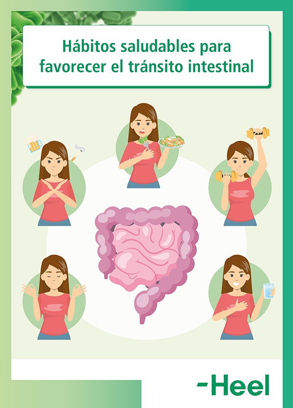 6 factores para mejorar el tránsito intestinal: transito intestinal saludable - HeelEspaña