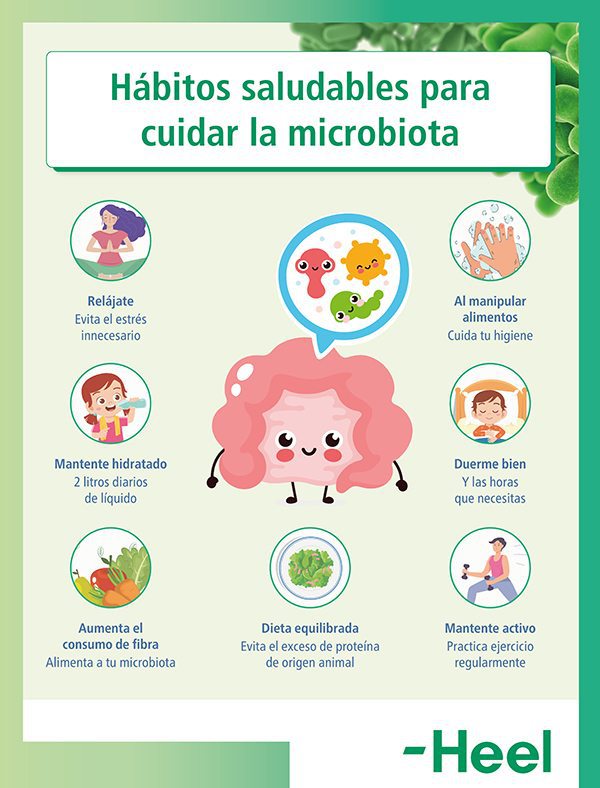 Trasnochar afecta al estado de la flora intestinal: microbiota intestinal - HeelEspaña