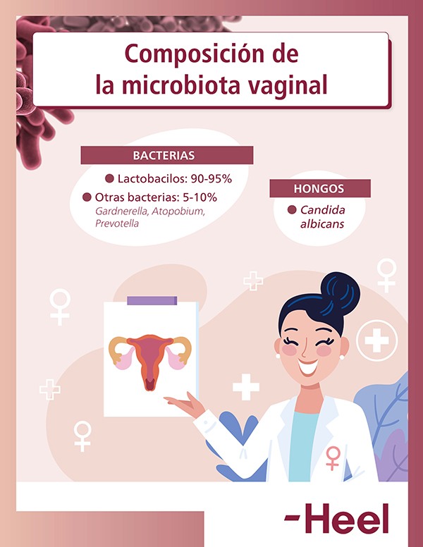 ¿Qué hacer si tengo una infección vaginal?: que hacer infeccion vaginal - HeelEspaña