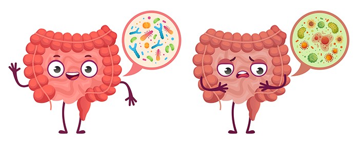 Microbiota intestinal, alimentación y hábitos para protegerla: cuidar microbiota intestinal - HeelEspaña