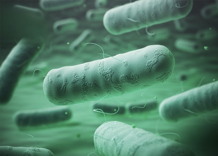 Bacterias producen infección de orina