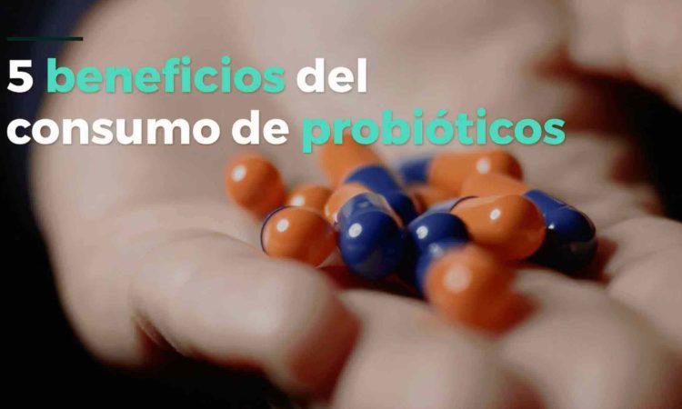 Ventajas del consumo de probioticos
