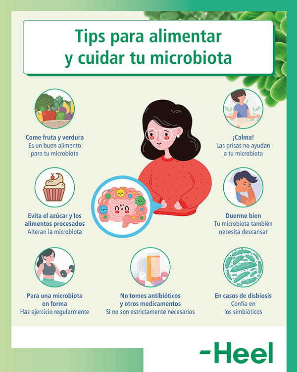 Cómo cuidar tu microbiota con probióticos y prebióticos