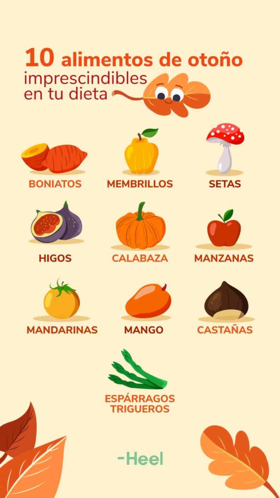 10 alimentos de otoño imprescindibles en tu dieta: alimentos dieta otono 576x1024 - HeelEspaña
