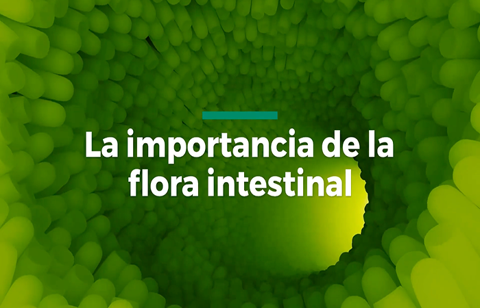 Importancia de la flora intestinal