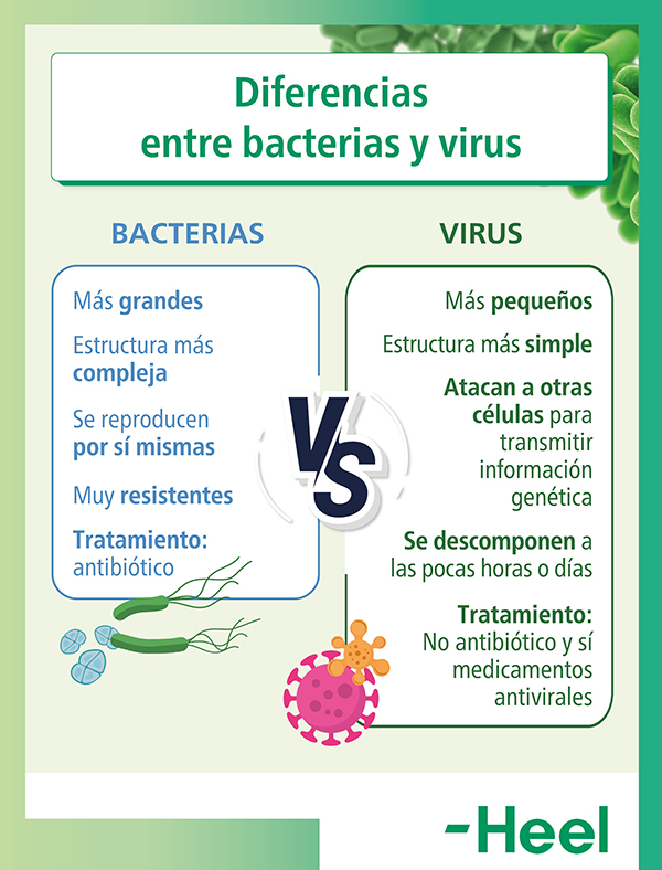 Cómo mantener a raya bacterias y virus: diferencias entre bacterias y virus - HeelEspaña