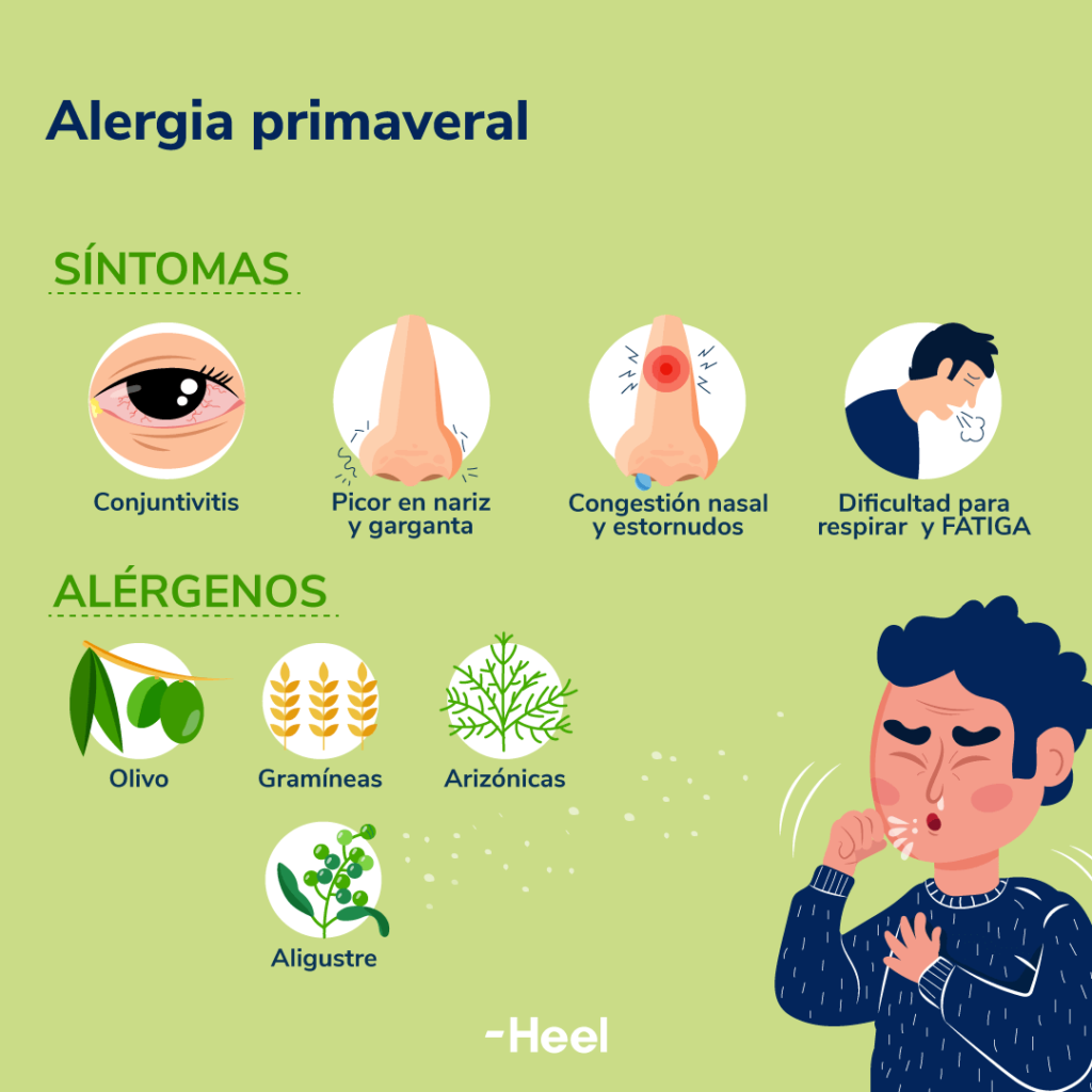 Alergia primaveral principales síntomas