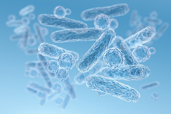 Una microbiota equilibrada refuerza tu sistema inmune: beneficios microbiota equilibrada - HeelEspaña