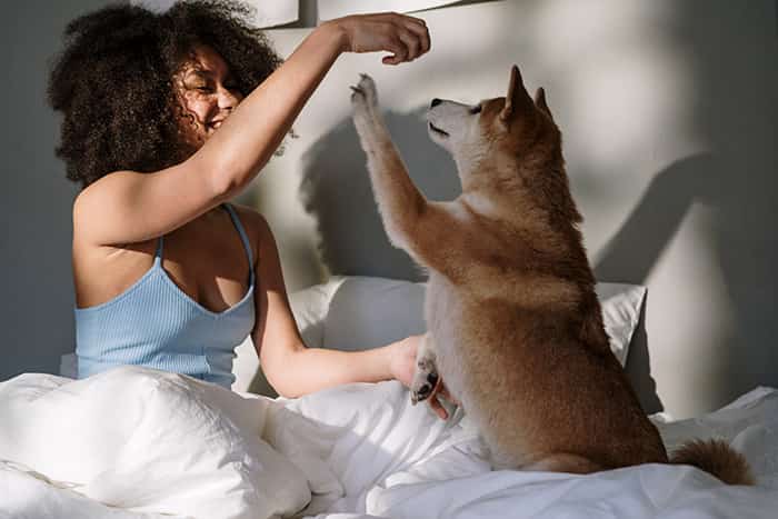 Dormir con tu perro en la cama, ¿es bueno?: dormir con tu mascota - HeelEspaña