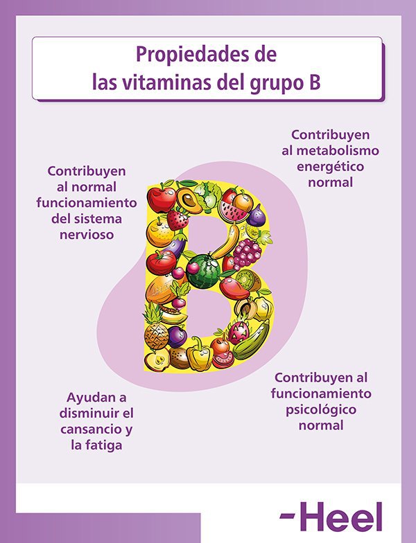 Falta de vitamina B12, ¿cómo afecta a mi metabolismo?: vitamina b12 propiedades - HeelEspaña