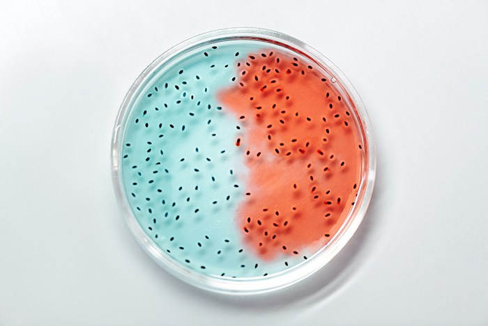 Tus bacterias intestinales delatan tu edad: microbiota - HeelEspaña