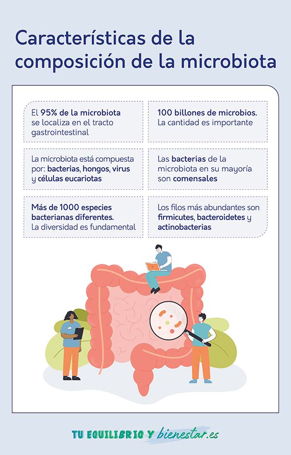 Cómo los antibióticos afectan a la microbiota intestinal: caracteristicas composicion microbiota - HeelEspaña