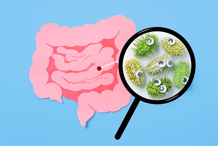 ¿En qué se diferencian microbiota y microbioma?: bacterias intestinales - HeelEspaña