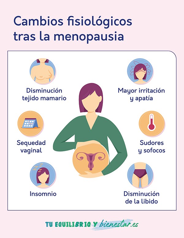 Menopausia y el riesgo de aparición de cistitis: cambios fisiologicos menopausia - HeelEspaña