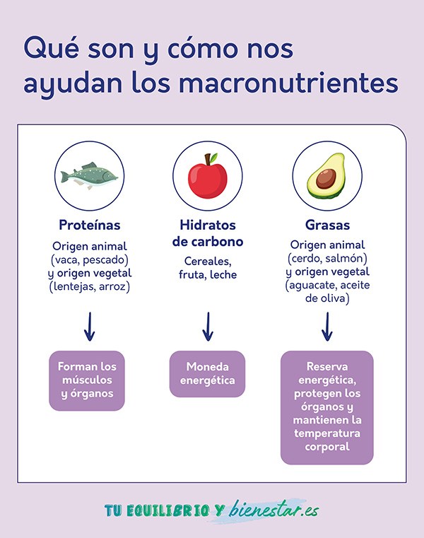 Qué son los macronutrientes y cómo ayudan a nuestro metabolismo: que son como nos ayudan macronutrientes - HeelEspaña
