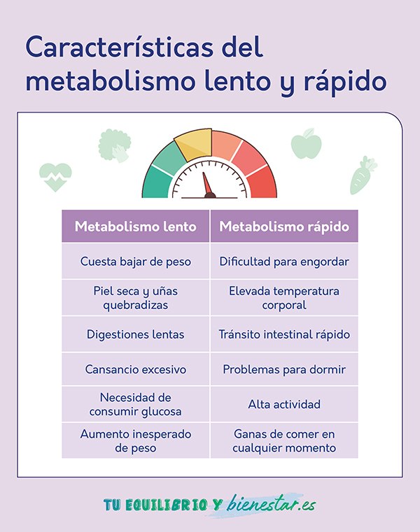 ¿Cómo puedo saber si tengo el metabolismo lento o rápido?: caracteristicas metabolismo lento rapido - HeelEspaña