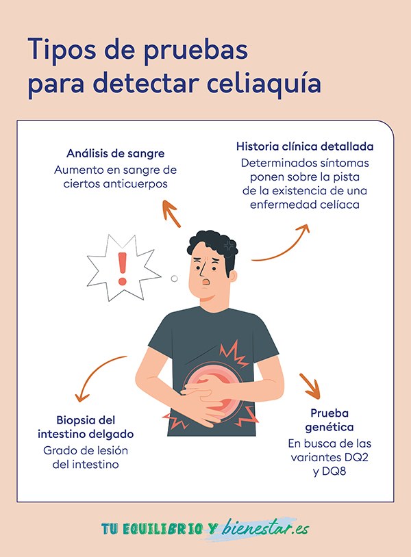 En qué consisten las pruebas de diagnóstico para la celiaquía: tipos pruebas detectar celiaquia - HeelEspaña