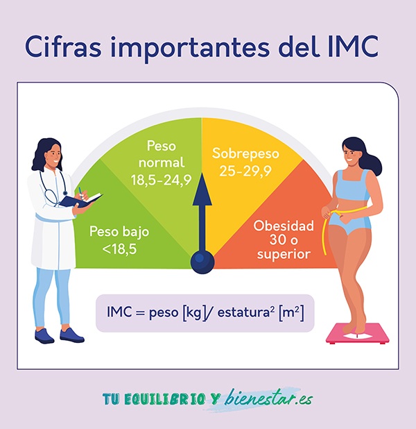 La relación entre el Índice de Masa Corporal y la salud intestinal: cifras importantes IMC - HeelEspaña
