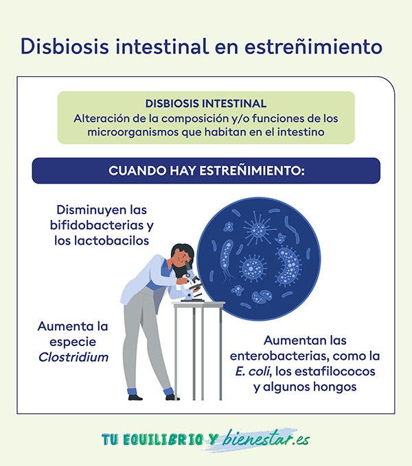 El estreñimiento y su relación con la salud intestinal: disbiosis intestinal estrenimiento - HeelEspaña
